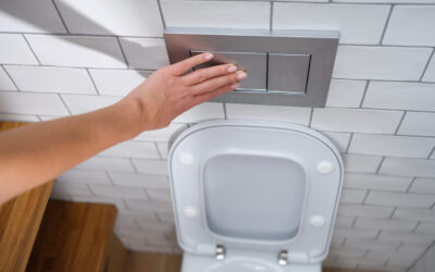 Smart Bathroom Upgrades Start with Dual-Flush Toilets