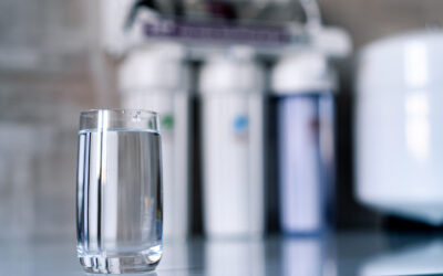 Why Filtered Water Is a Better Choice for the Environment