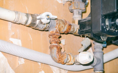 Water Line Woes—Is Repair Enough or Is Replacement Required?