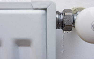 How to Shield Your Home from Expensive Water Damage
