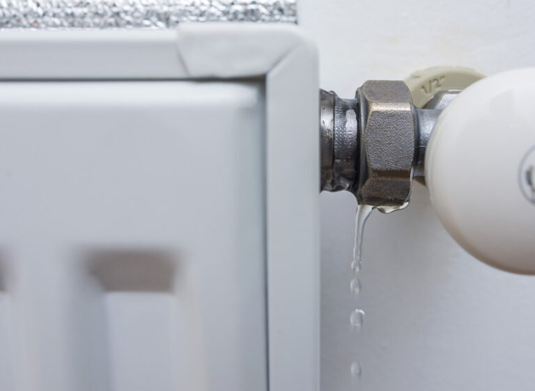 Small leak dripping from a pipe fitting, showing an early plumbing issue that could cause water damage if not repaired.