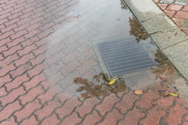 Standing water near a residential drain showing early signs of a possible sewer line issue.